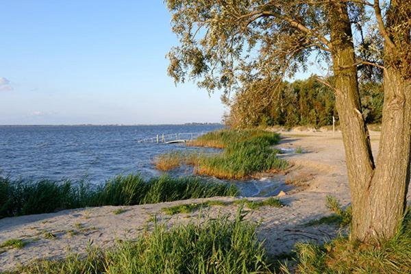 Huus Am Darss Villa Fuhlendorf  Eksteriør billede